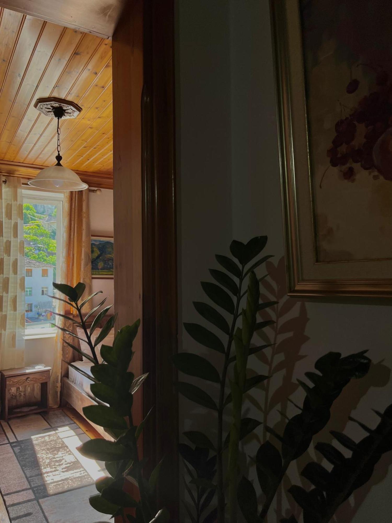 Andria'S Apartment Αργυρόκαστρο Εξωτερικό φωτογραφία